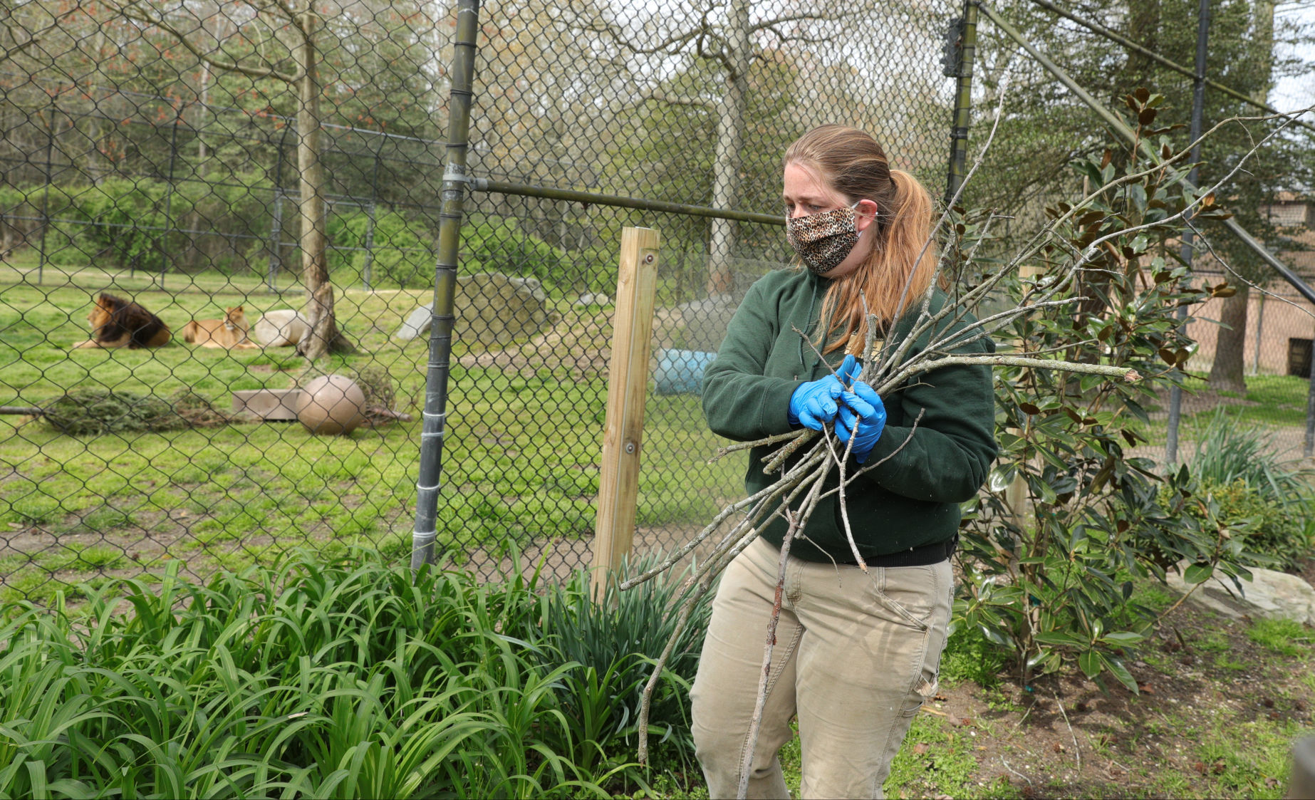 Cape May Zoo